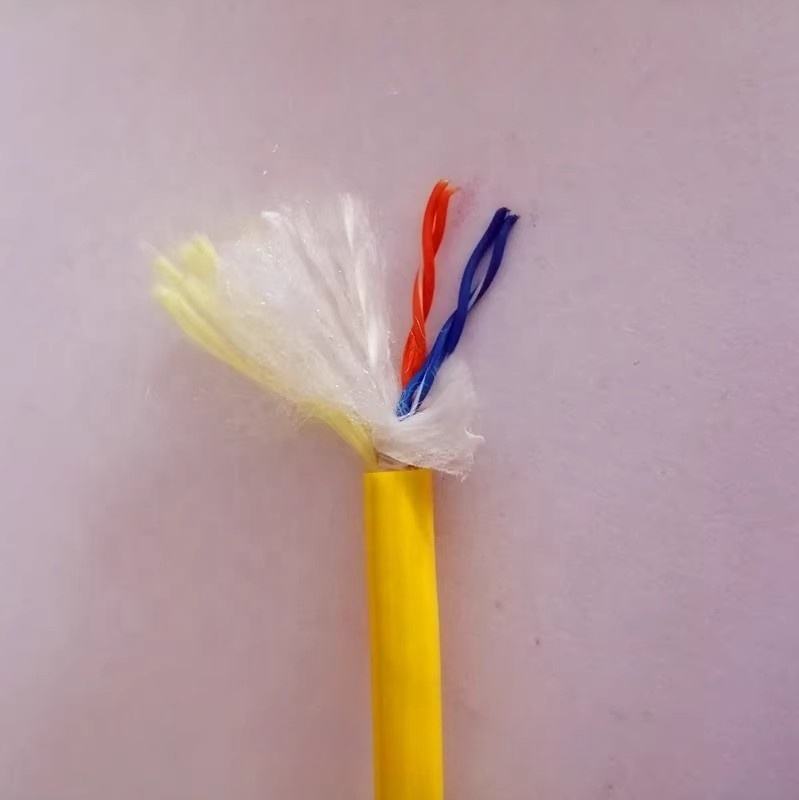 Custom Underwater Robot Network Signal Cable | Twisted Pair Shielded PE 24AWG Wire