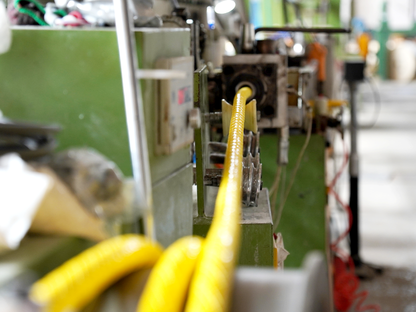 Exhibition of Rousheng