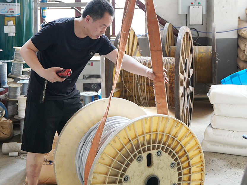 Exhibition of Rousheng